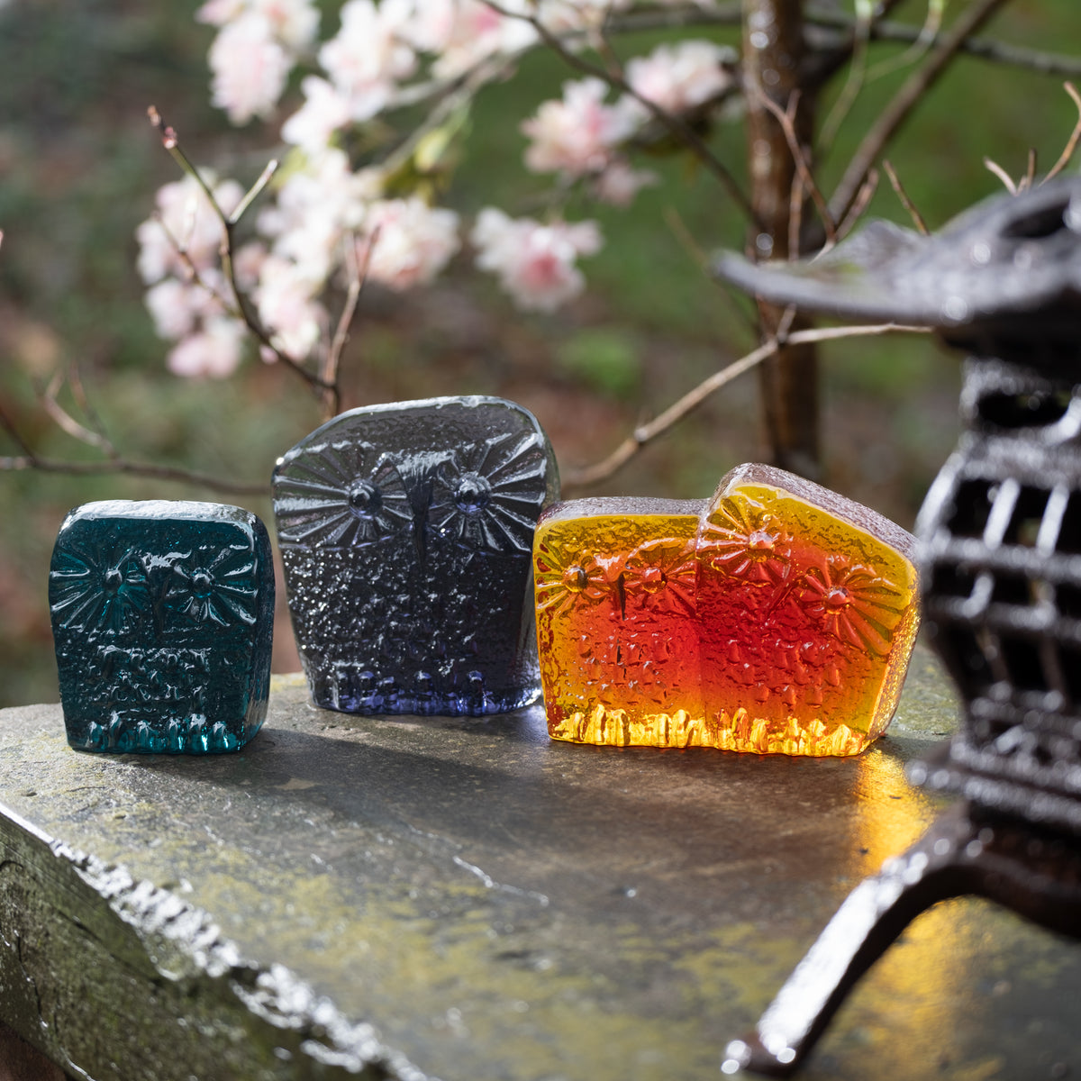 Colorful owl critters on a park bench with forest background
