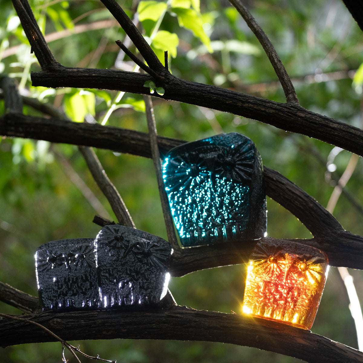 Colorful owl critters perched in a tree
