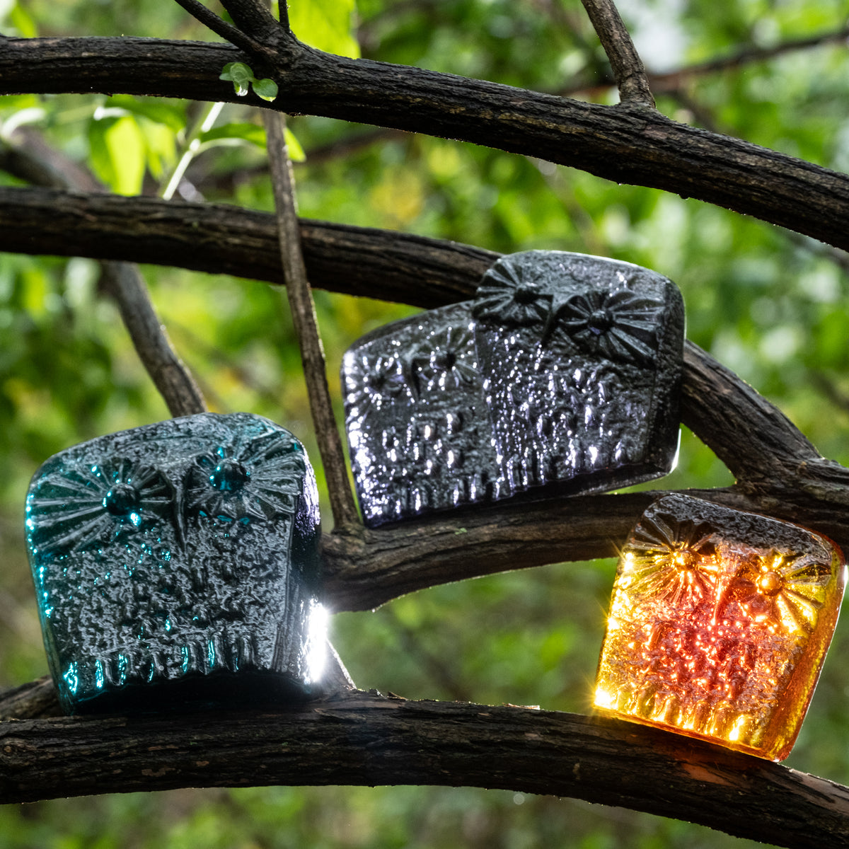 Colorful owl critters perched in a tree