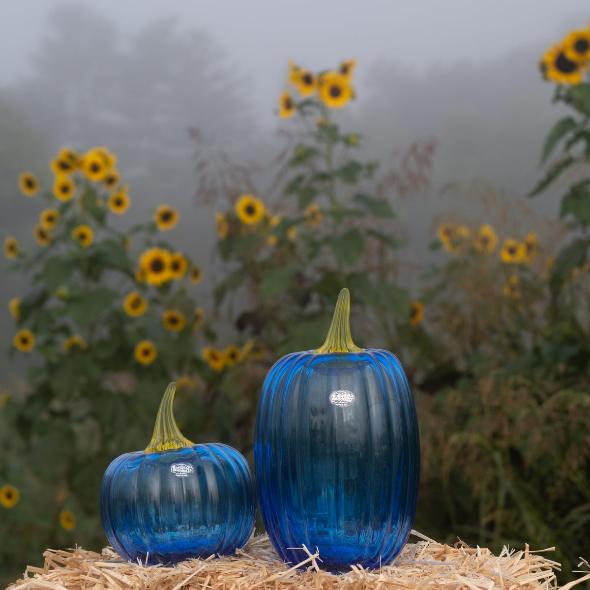 Two ribbed cobblestone-style glass pumpkins in translucent blue with pale green stems, displayed on a bed of straw with a misty sunflower field in the background.
