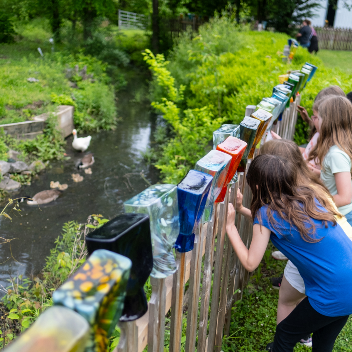 Children looking at a row of colorful bottles displayed on a wooden fence by a stream.